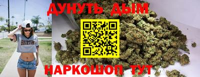 индика Можайск