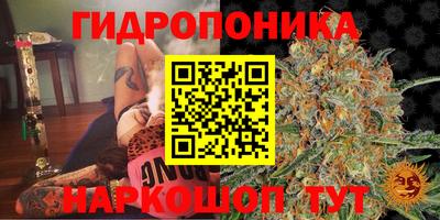 экстази Можга