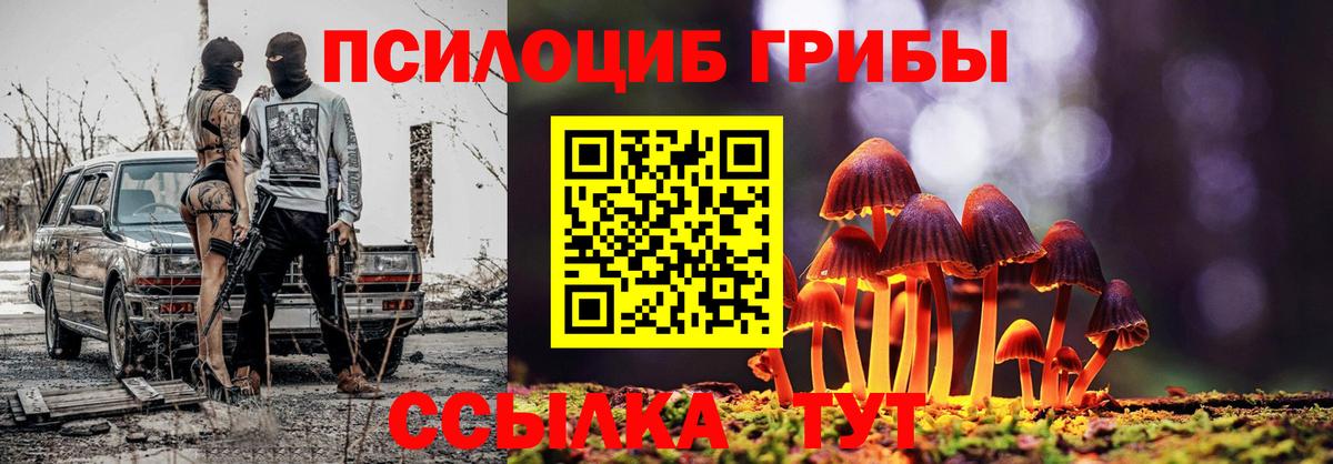 купить наркотик  Вход с VPN  Черногорск  Галлюциногенные грибы Psilocybe 